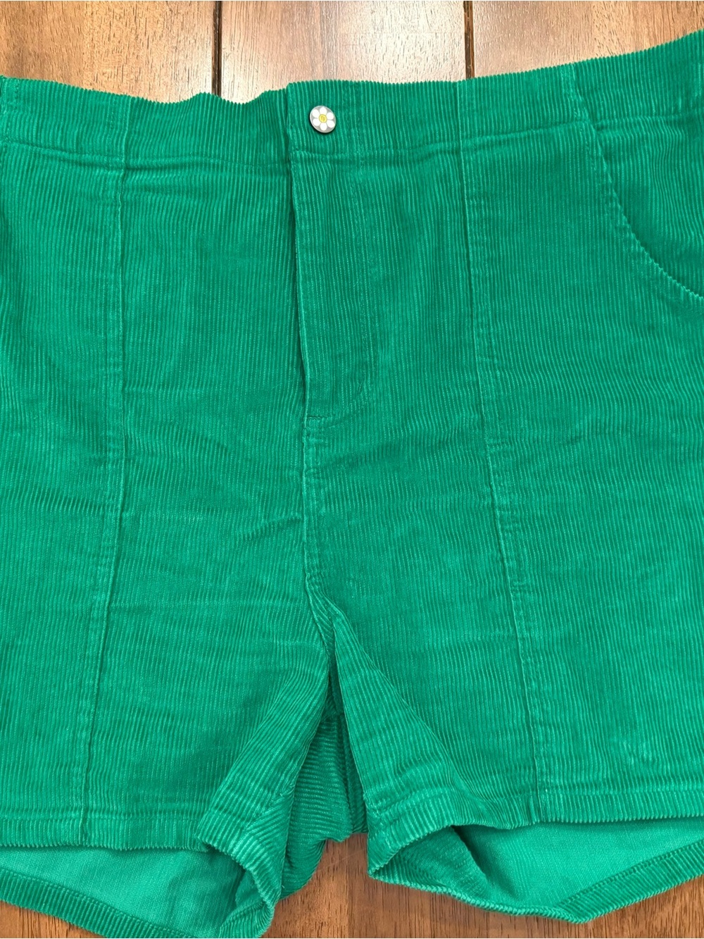 Teddy Fresh Bright Green Corduroy shorts size 3X streetwear